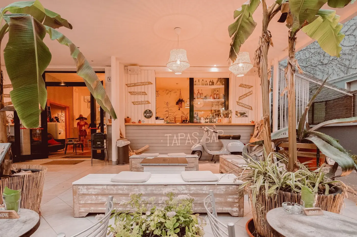 The interior of a tapas bar in Madrid with signage at the entrance, greenery and warm lighting, before the evening rush