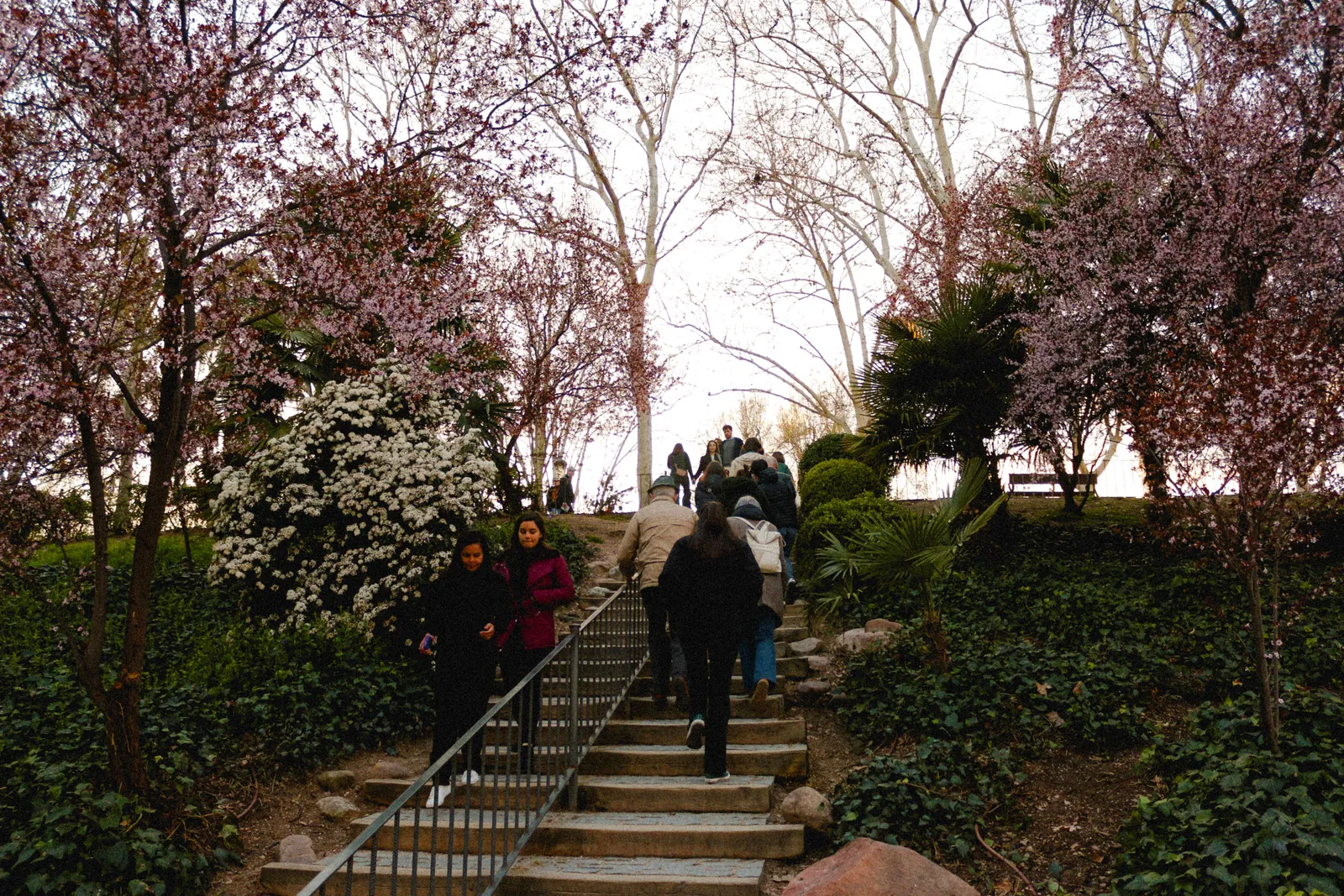 Families walking along a tree-lined path between animal enclosures at a zoo in Madrid on a sunny day, Spain
