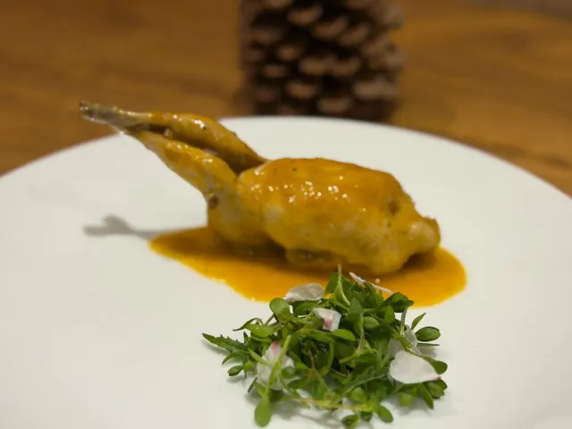 A small roasted bird in orange sauce on a white plate beside a pile of green sprouts