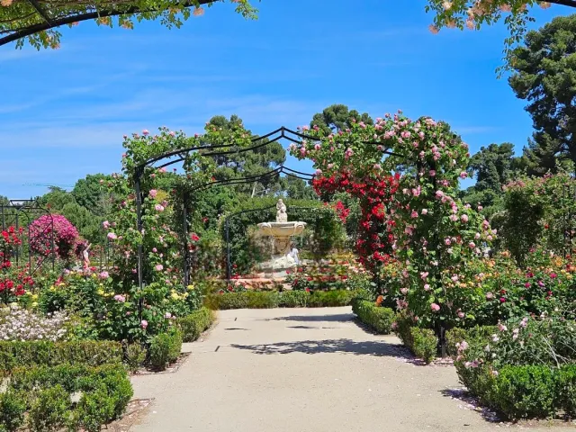 A path between metal arches covered in pink roses, with a statue fountain behind