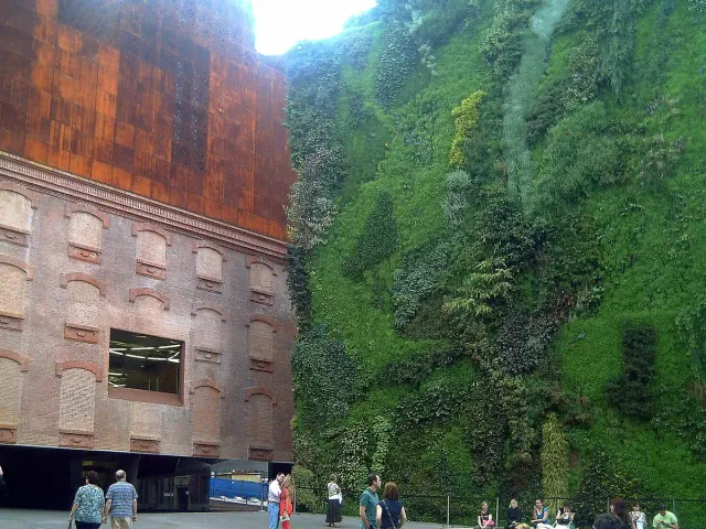 A tall wall entirely covered in dense green planting beside a rust clad building