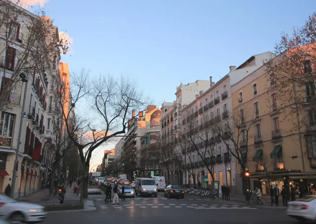 A broad city avenue with shopfronts, trees and cars at dusk