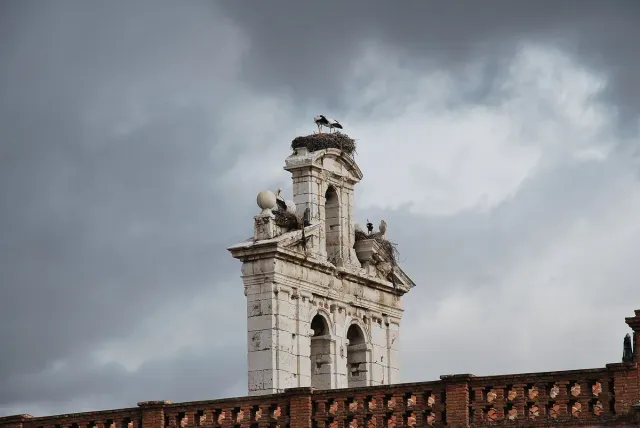 A stone bell tower with large stork nests on its roof and birds standing in them