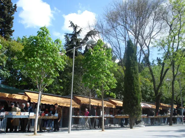 A row of green book kiosks along a slope shaded by tall trees