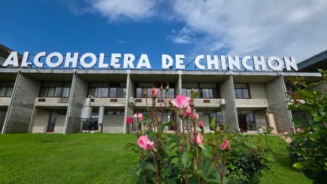 A factory building with giant letters on its roof, a green lawn and a pink rose bush in front