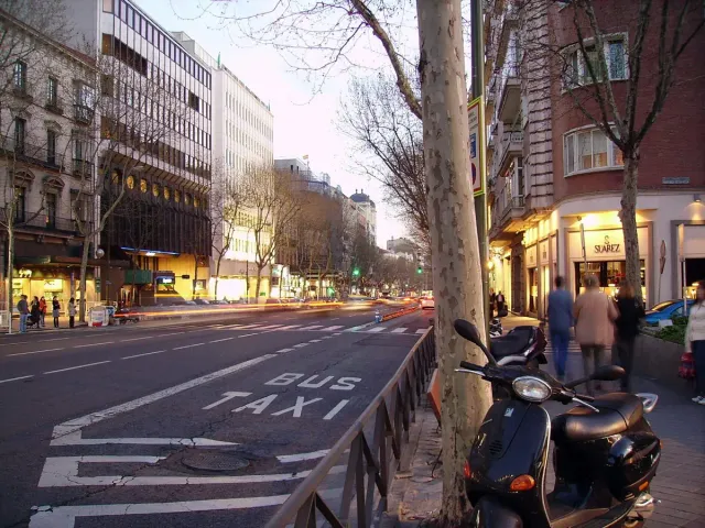A city avenue in the evening with lit shop windows, trees and a taxi rank
