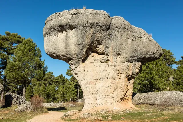 A giant mushroom shaped rock standing on a narrow stone stem in a pine wood