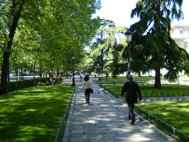 A promenade shaded by tall trees with pedestrians and lawns on both sides
