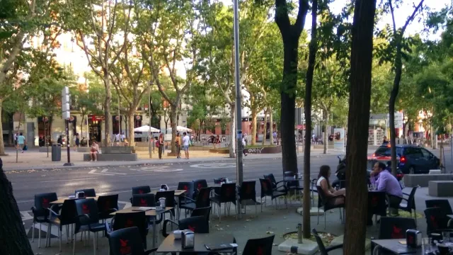 A terrace of black chairs and tables under trees, with a street and passers by behind