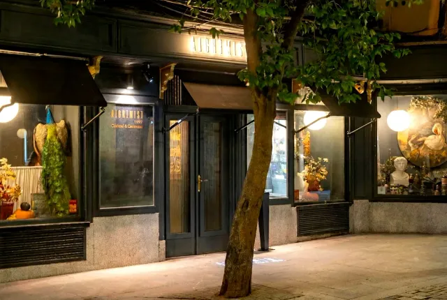 A dark frontage at night with awnings, lit display windows and a tree on the sidewalk