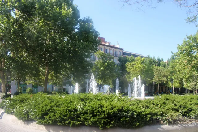 White fountain jets behind a green hedge among tall trees in a neighbourhood square