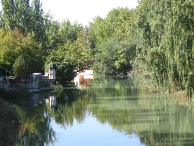 A calm river reflecting dense green trees on both of its banks