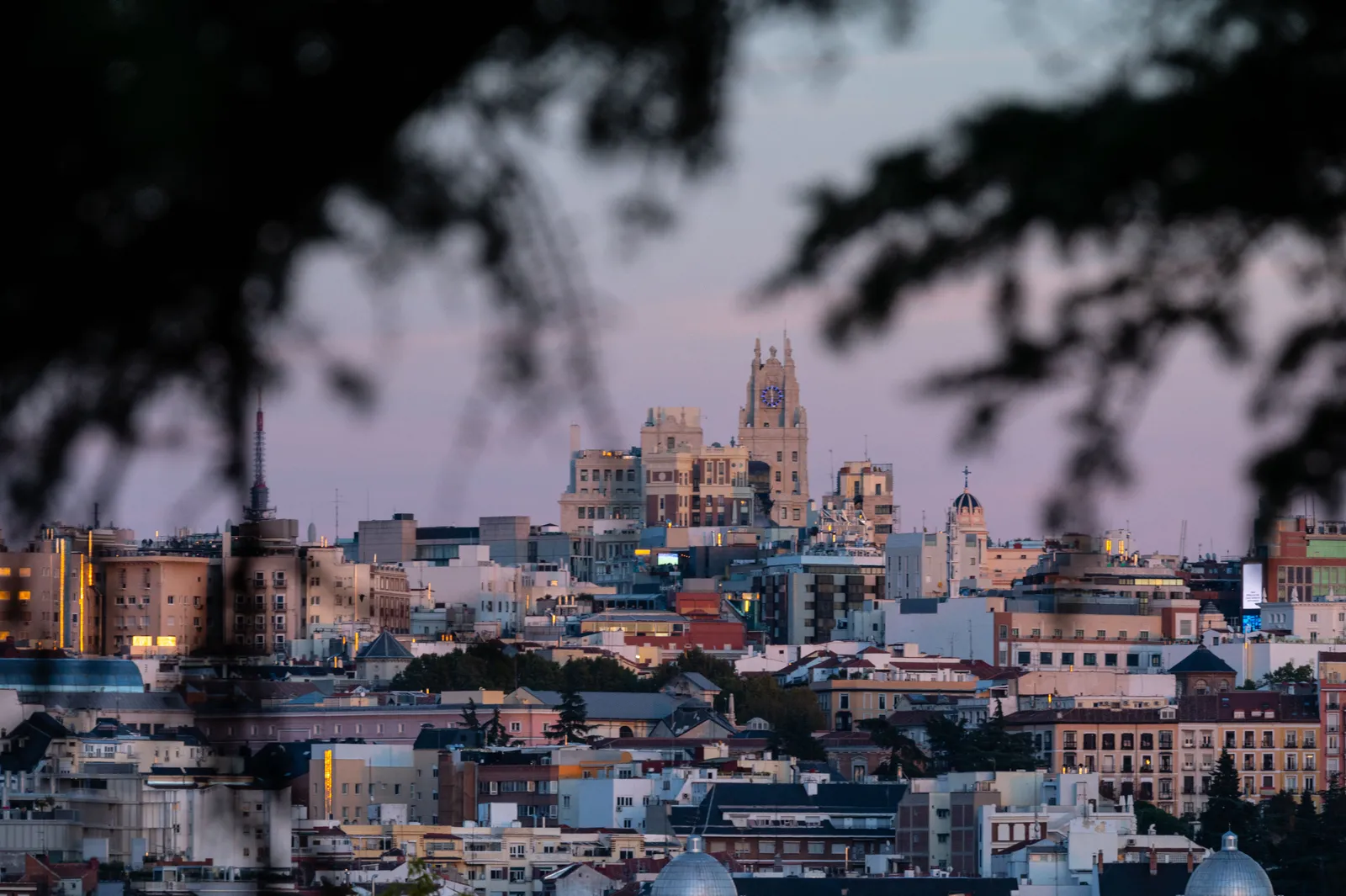 The skyline of Madrid at dusk framed by tree branches, Spain