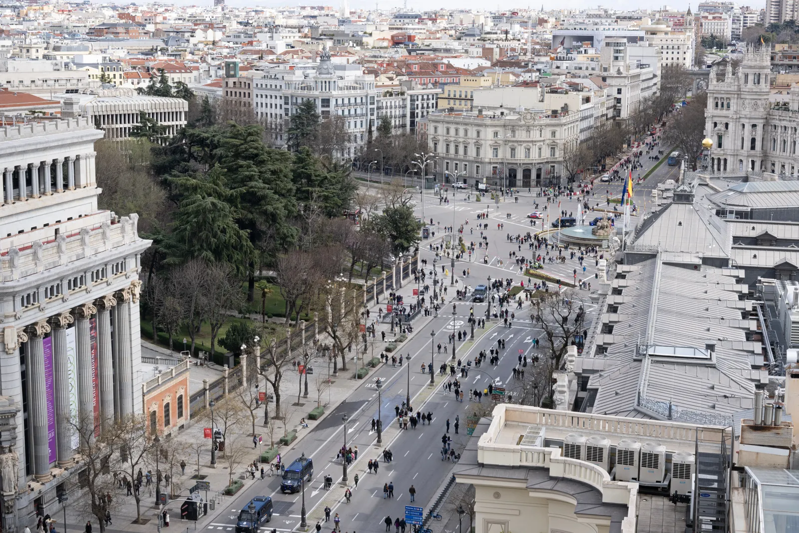 The tree-lined Paseo del Prado avenue in Madrid with museum buildings along it, Spain